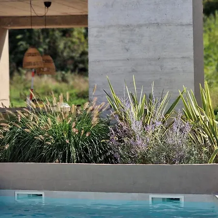 Ferienhaus Zel Pazin